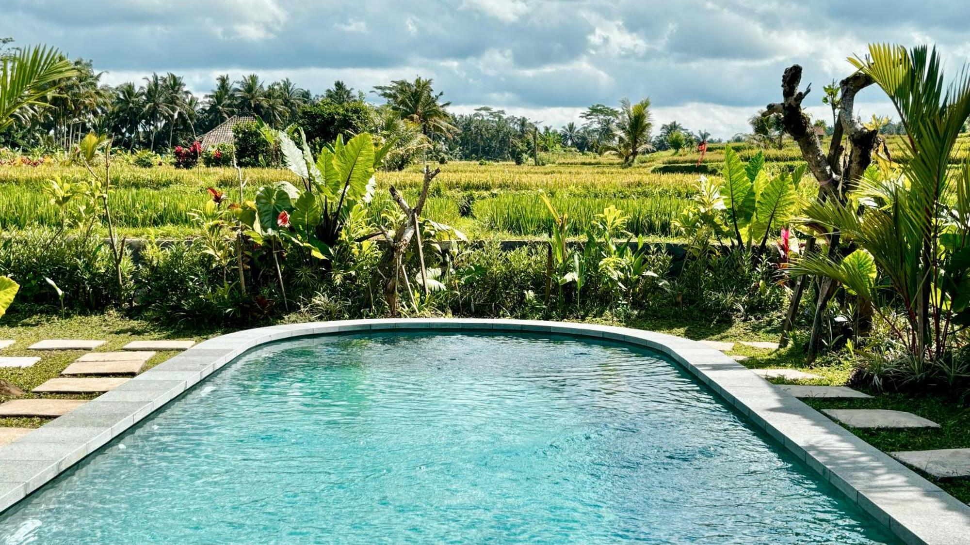 Jagadhita Villas أوبود المظهر الخارجي الصورة
